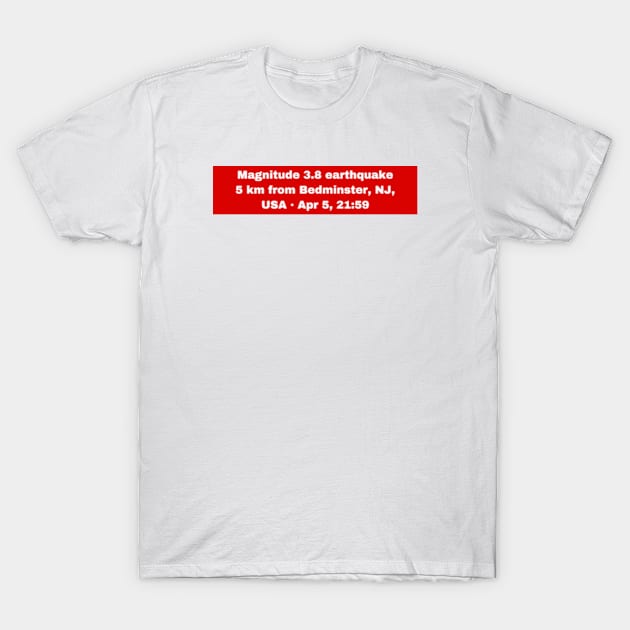 I Survived The Nyc Earthquake 2024 T-Shirt by graphicaesthetic ✅